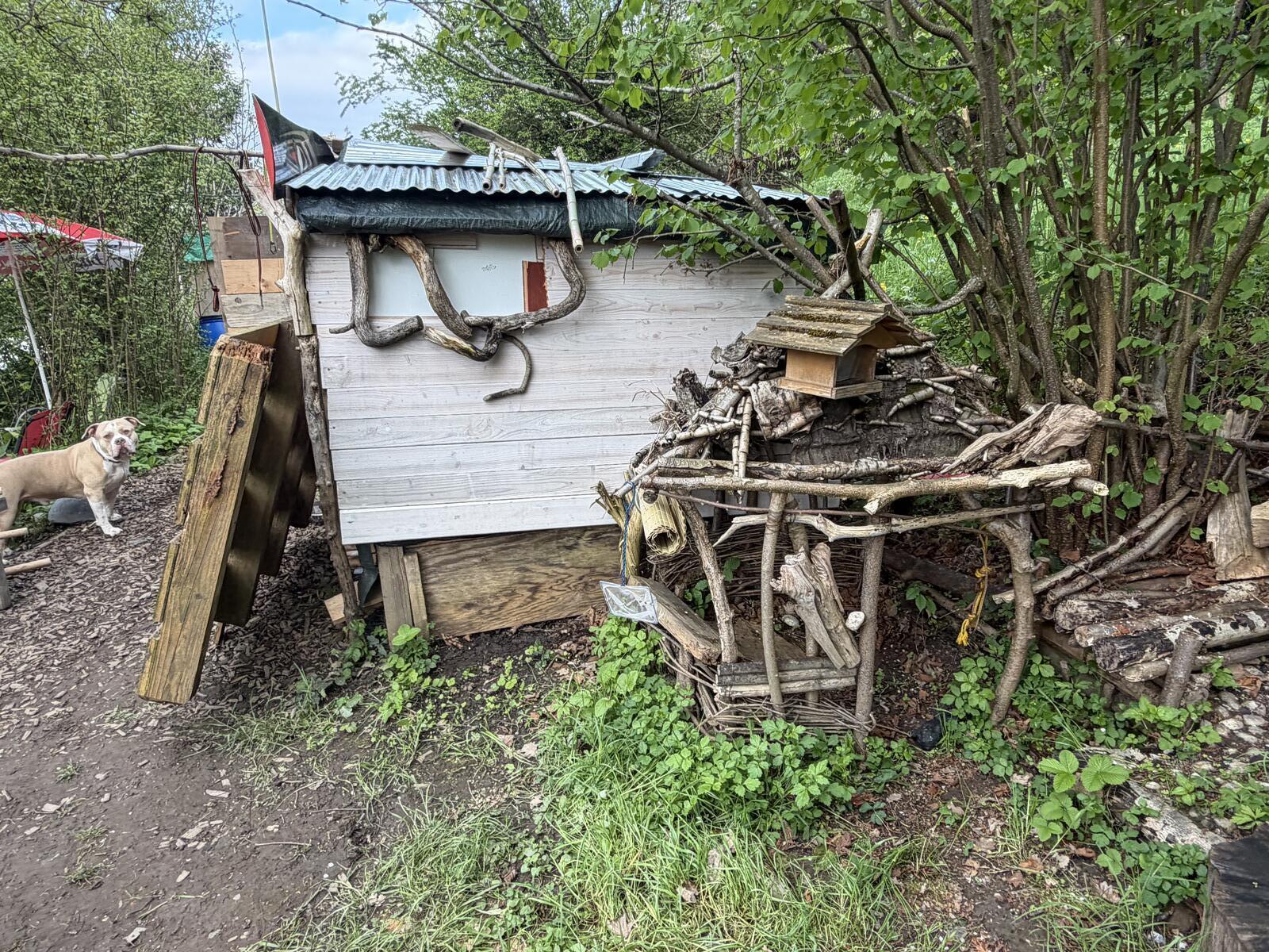 Gartenhütte und Naturstrukturen im Hoole