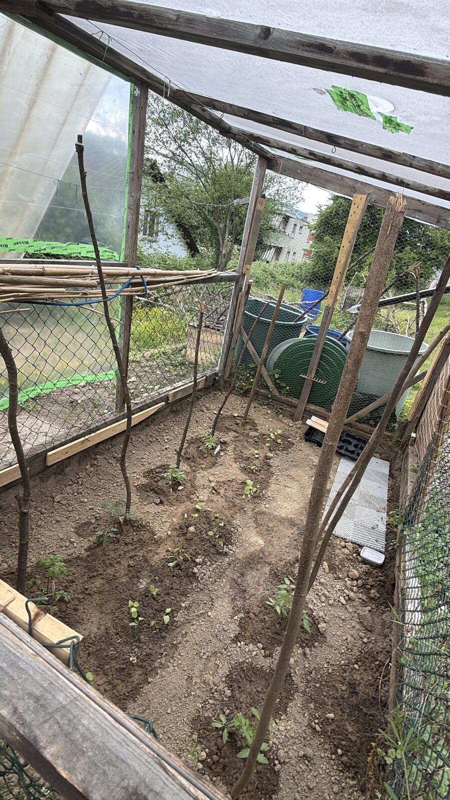 Gewächshaus mit Setzlingen — Frühling im Autonomen Garten Hoole
