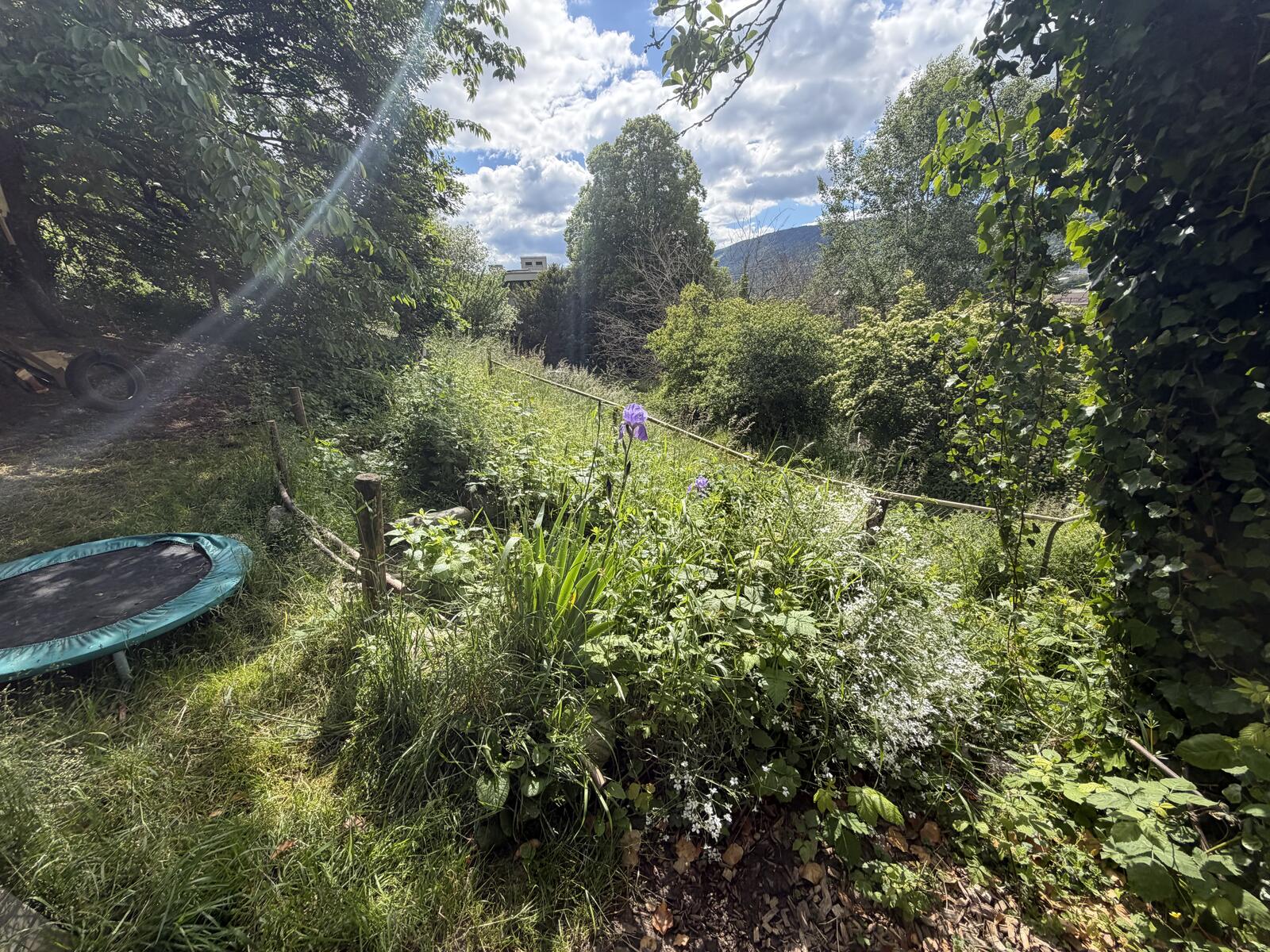 Üppiger Garten mit Trampolin — Autonomer Garten Hoole