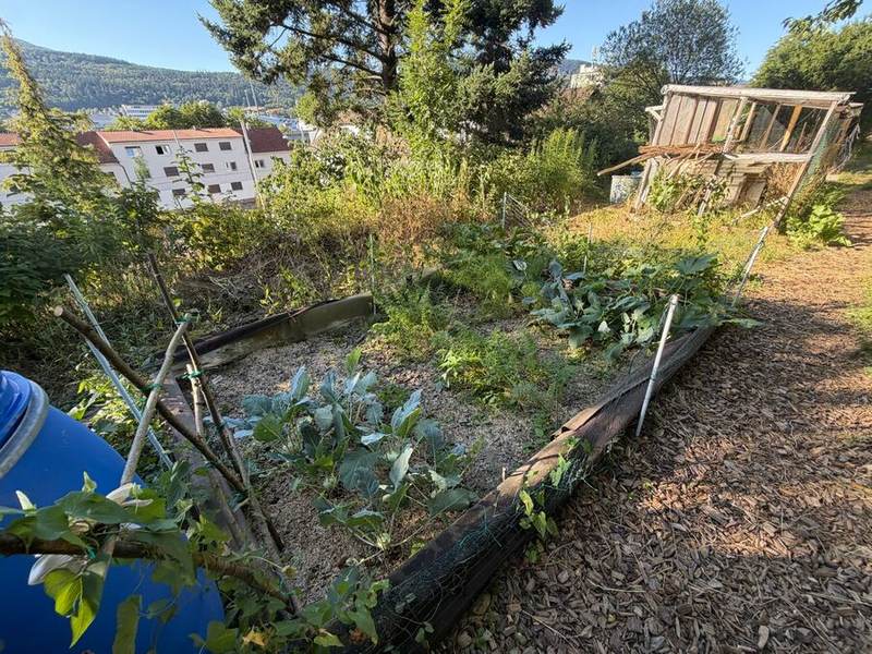 Hochbeete und Gartenhütte im Autonomen Garten Hoole