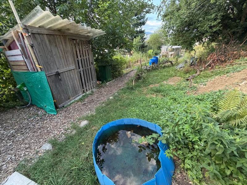 Weg zur Gartenhütte mit Regentonne