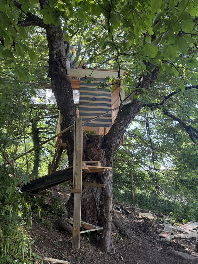 Baumhaus im Autonomen Garten Hoole