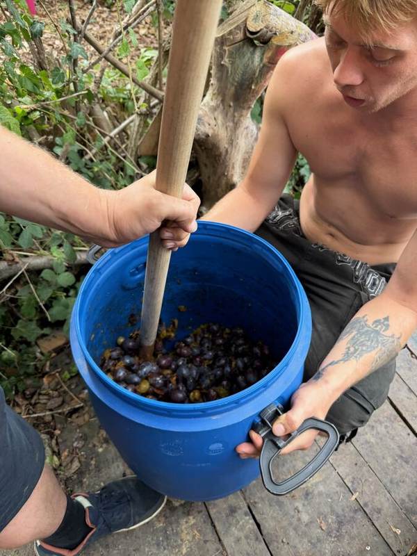 Beeren verarbeiten im Autonomen Garten Hoole