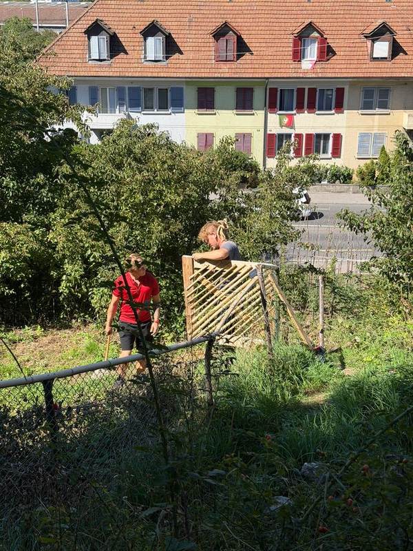 Gärtnerinnen am Zaun mit Blick auf die Nachbarschaft