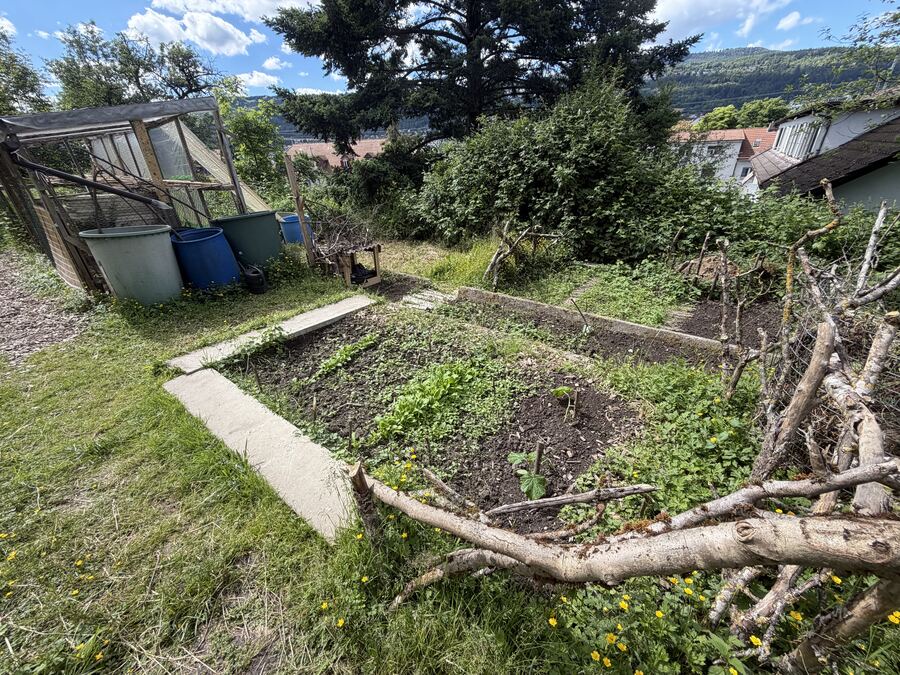 Hochbeete und Gewächshaus im Garten